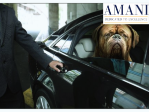 Transport animalier