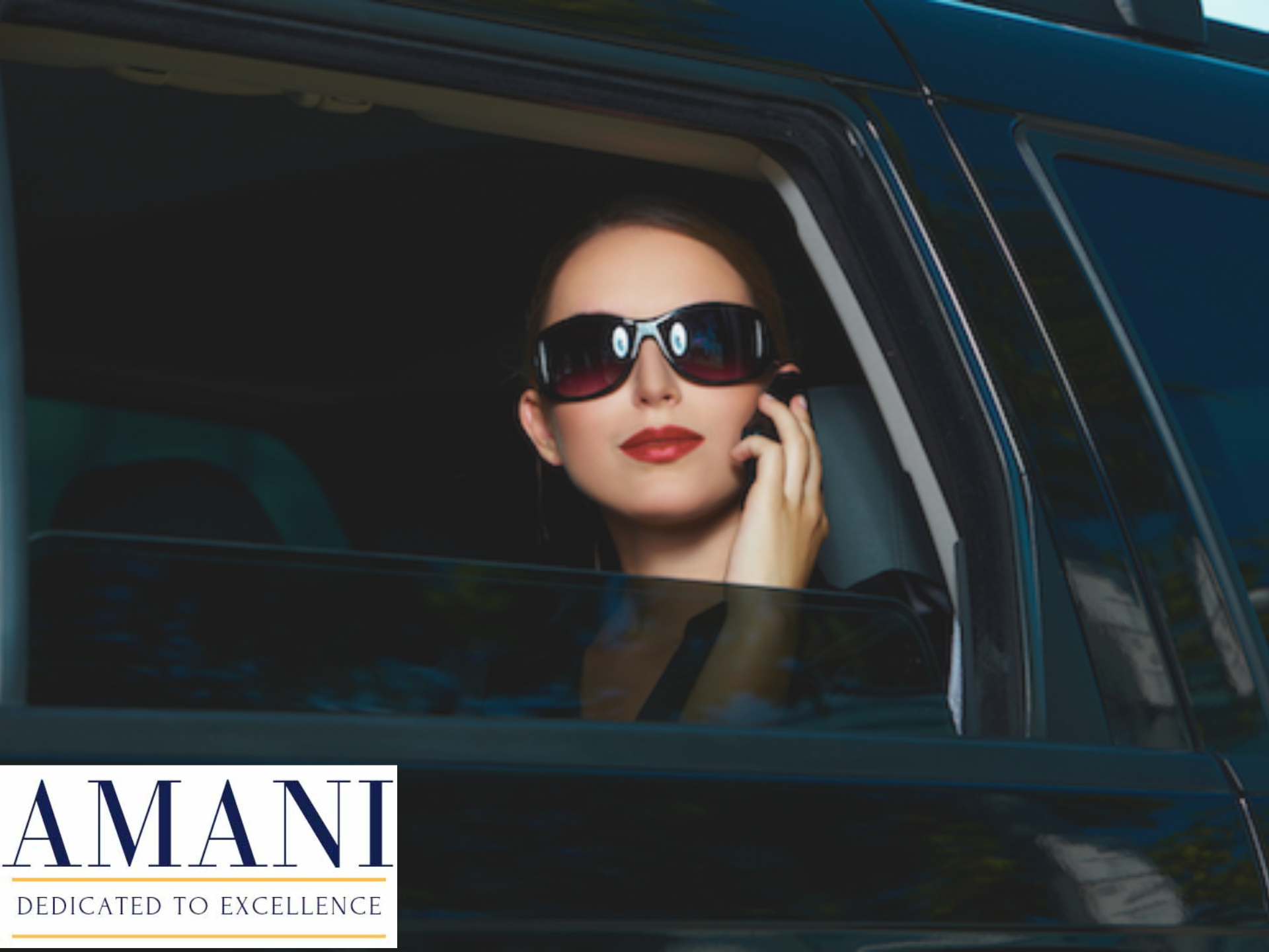 Chauffeur privé salon MIF